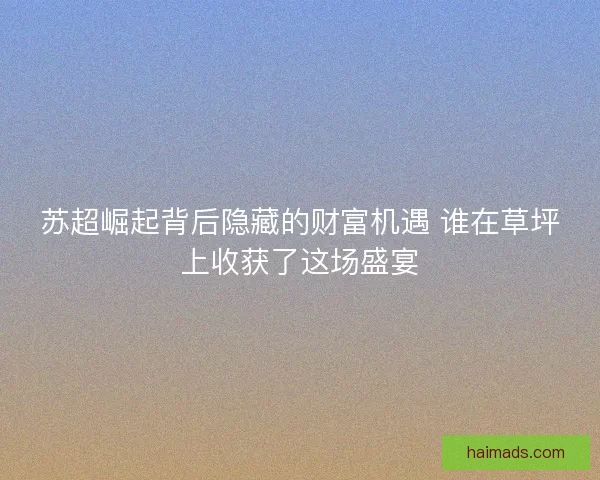 苏超崛起背后隐藏的财富机遇 谁在草坪上收获了这场盛宴 苏超崛起背后隐藏的财富机遇 谁在草坪上收获了这场盛宴